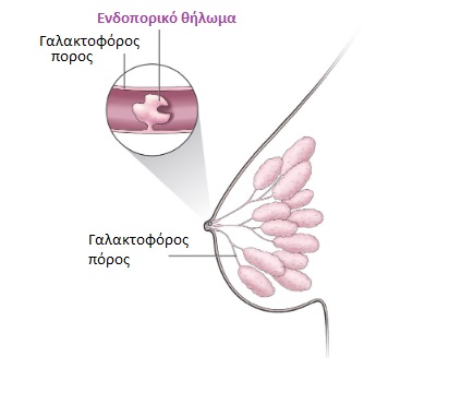 Θήλωμα