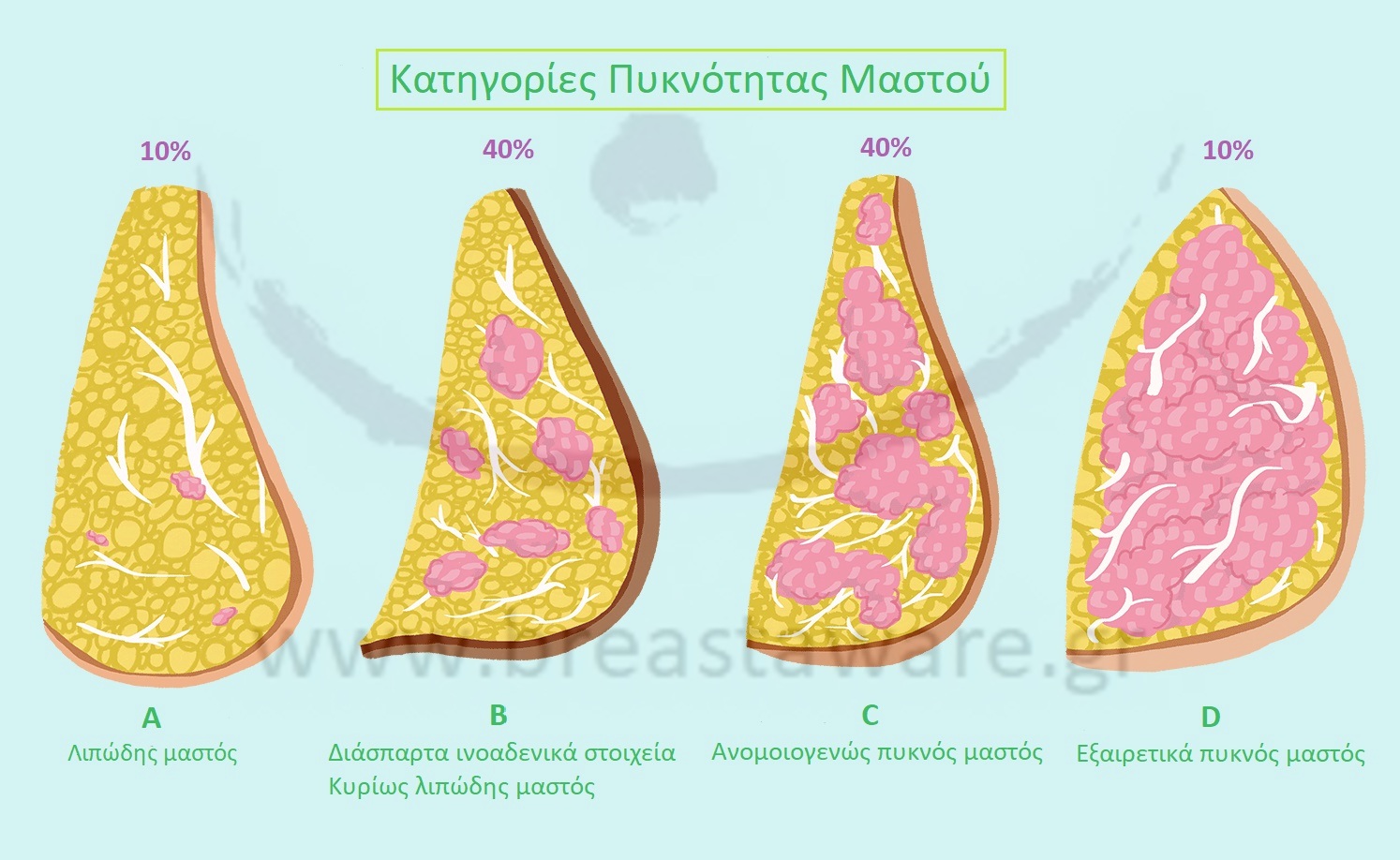 Β6_ΠΥΚΝΟΣ ΜΑΣΤΟΣ κείμενο 1